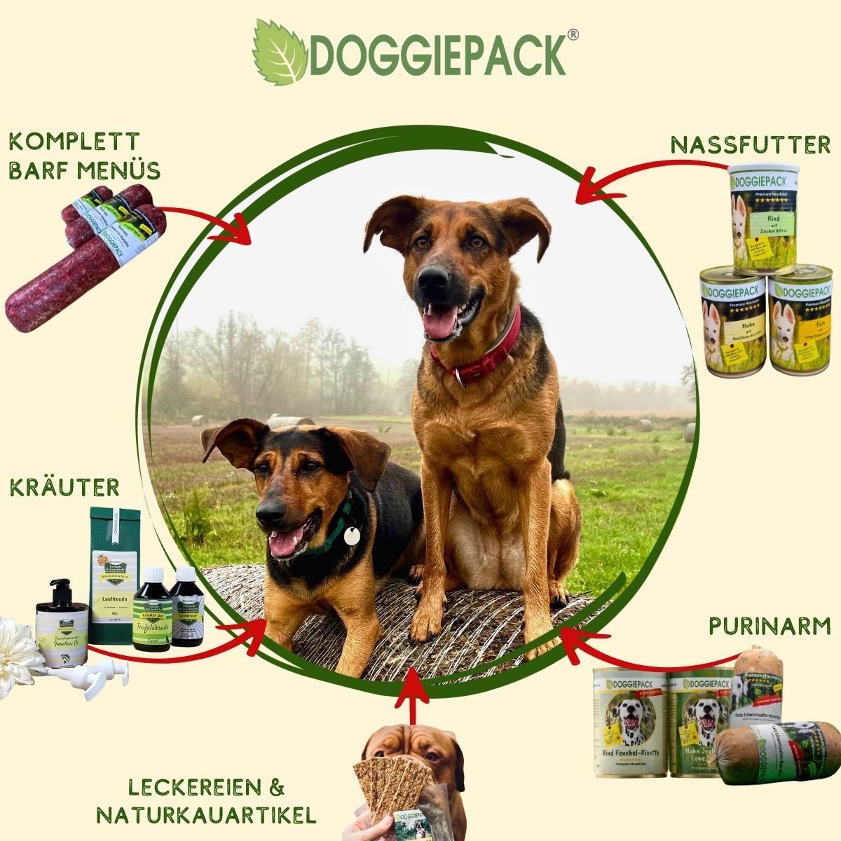 BARF Basis Pferd PREMIUM