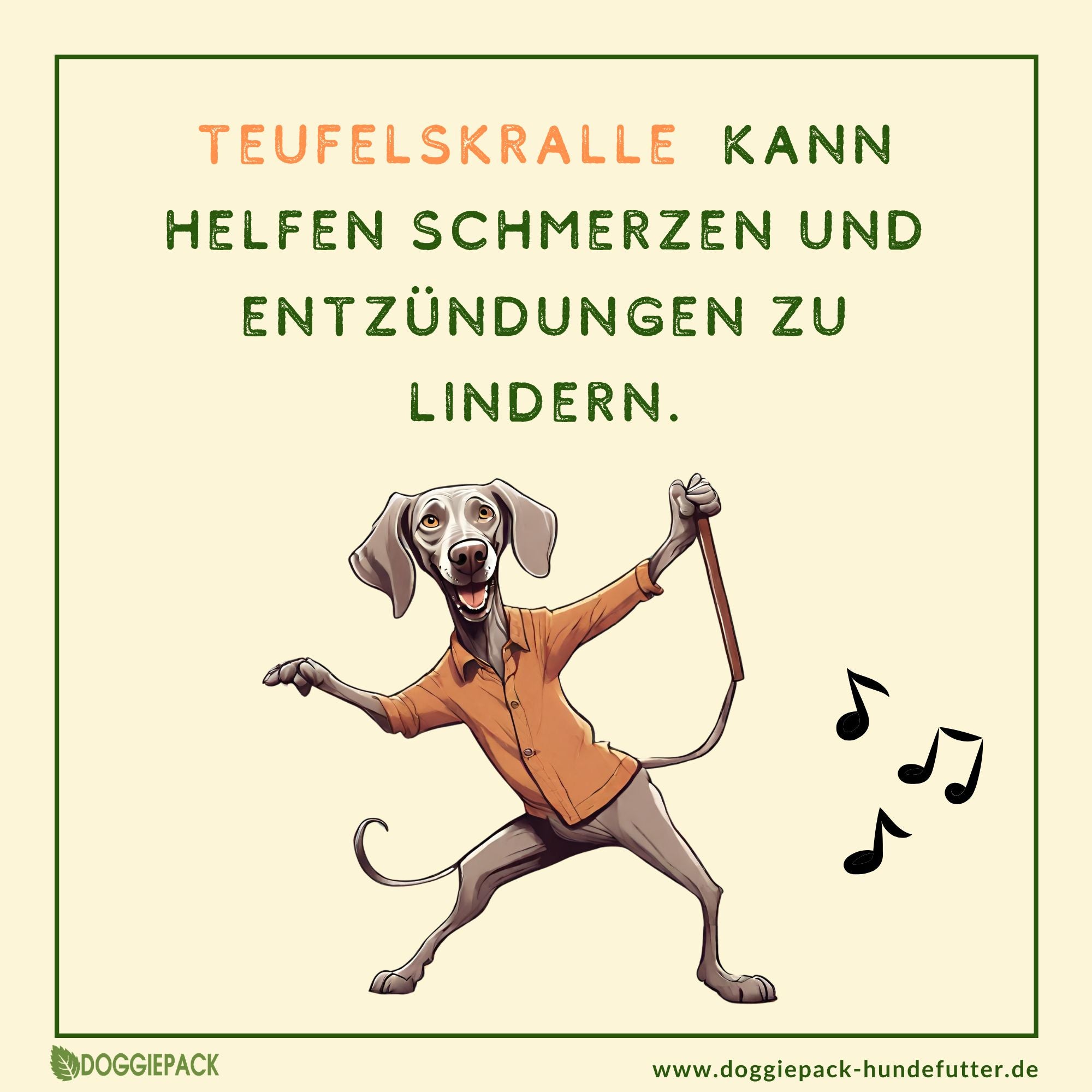 Teufelskralle - Liquid