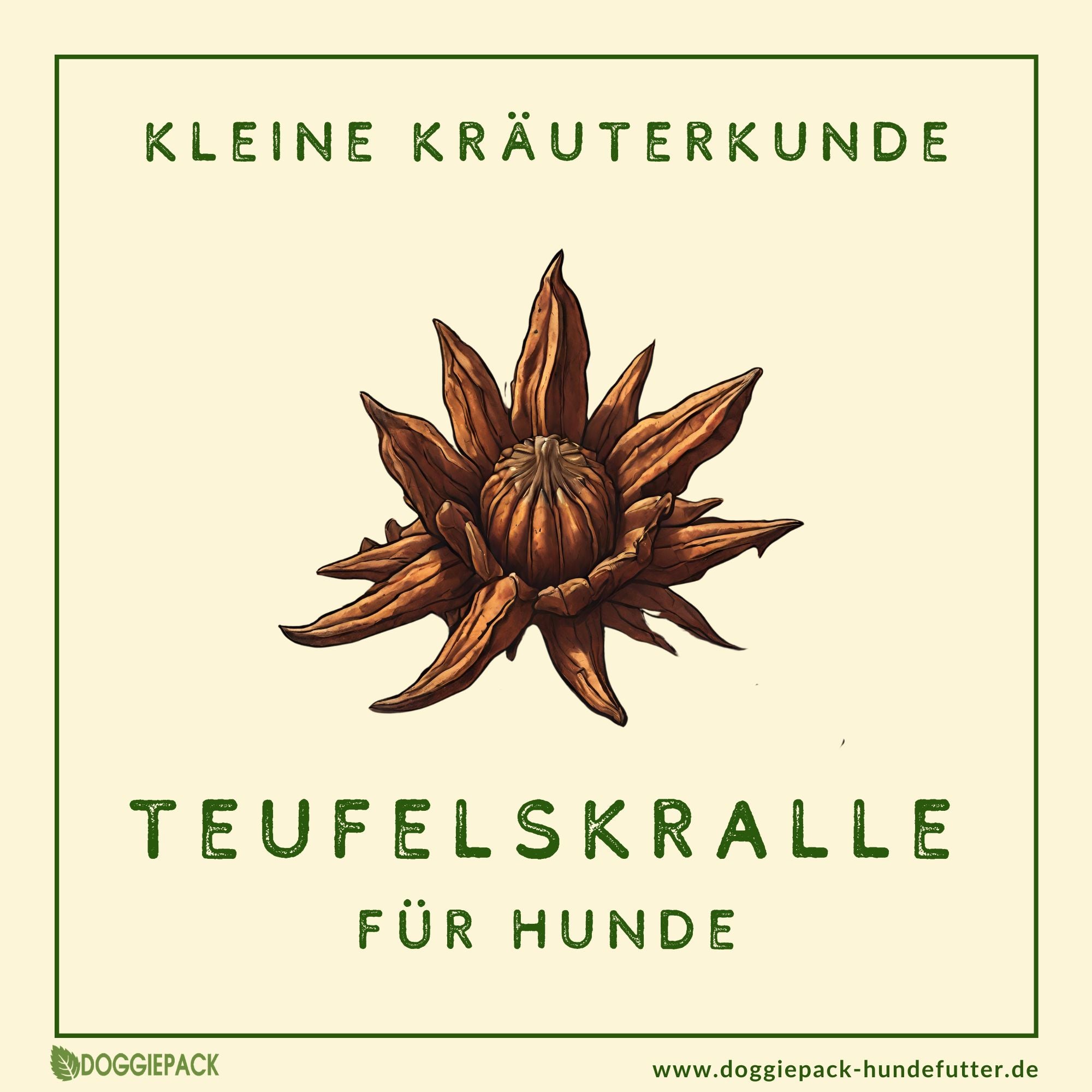 Teufelskralle - Liquid