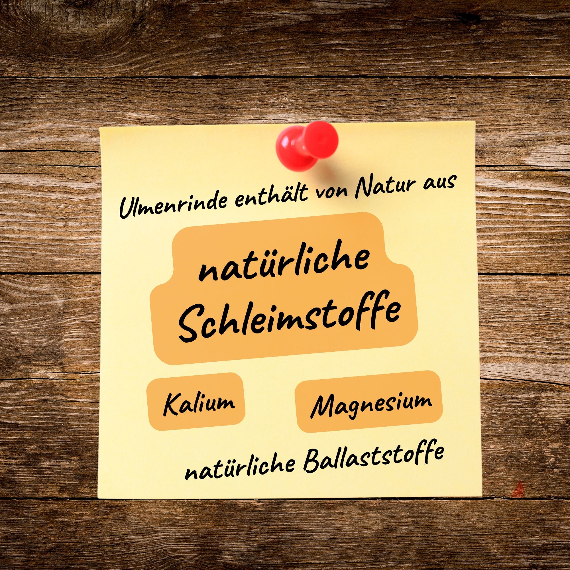 Ulmenrinde