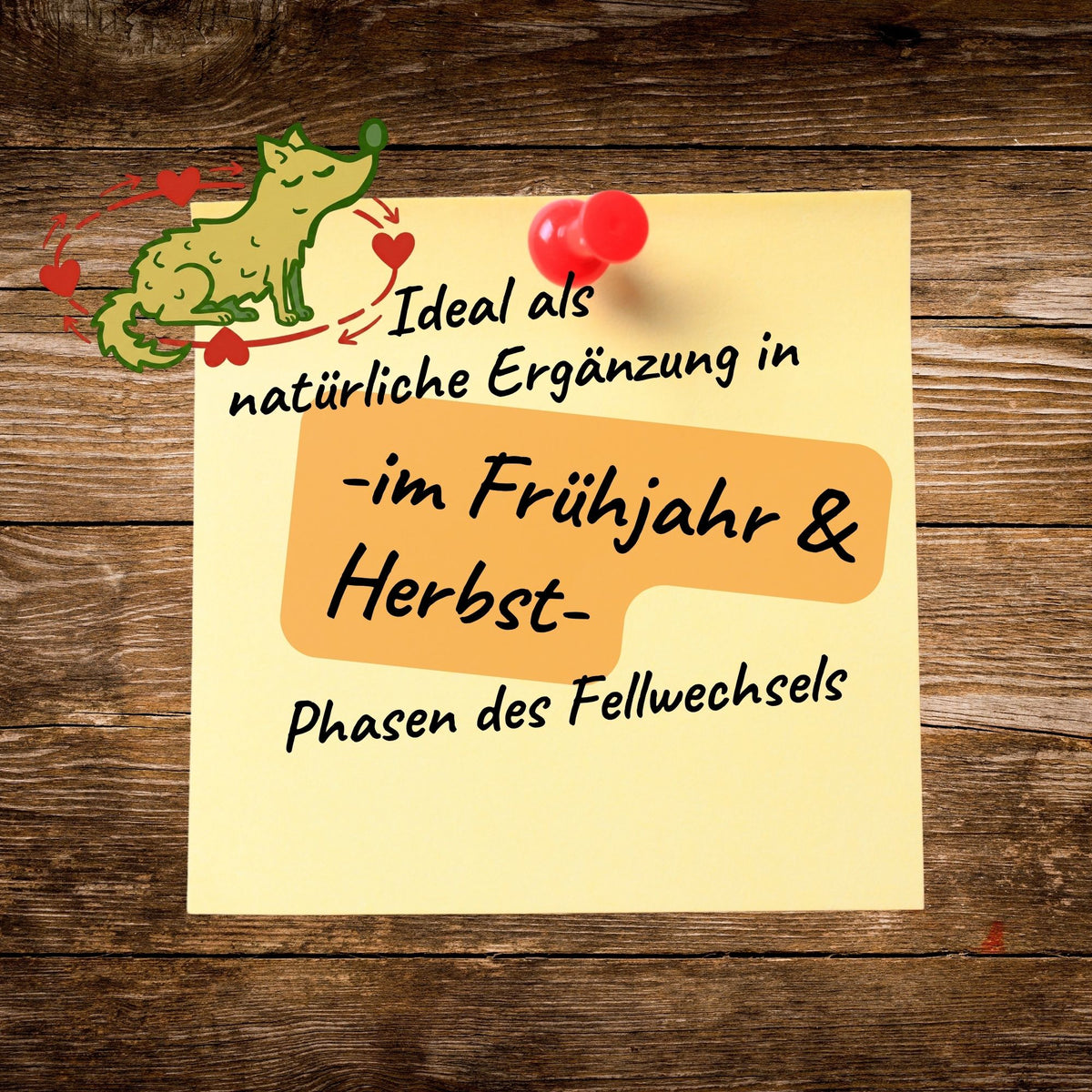 Wechselix- neuer Name