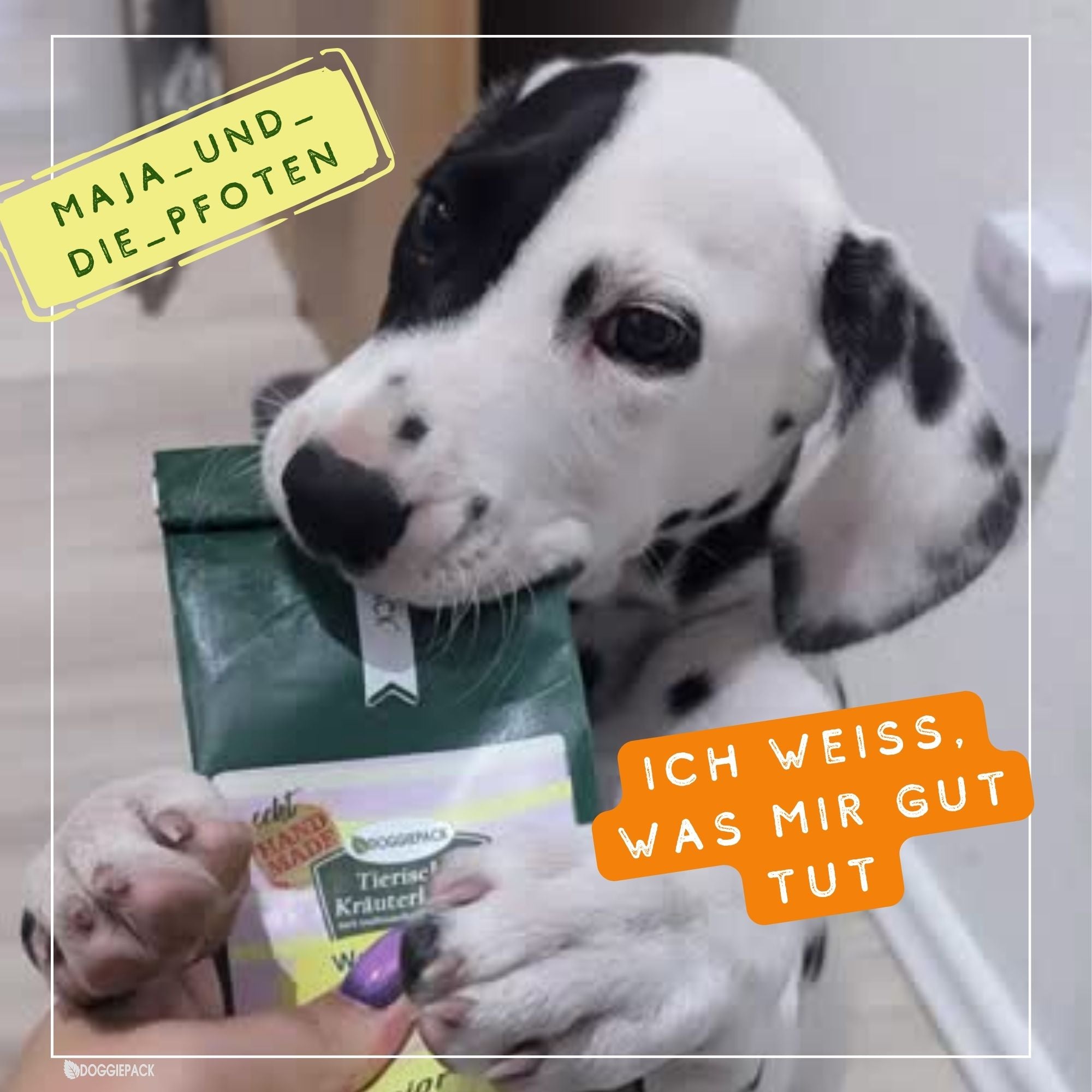 Junior Kräuter-Mix