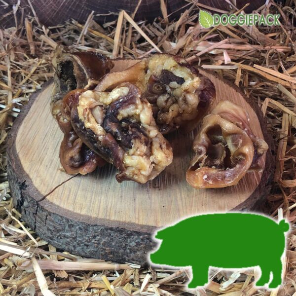 Schweine-ohrmuscheln