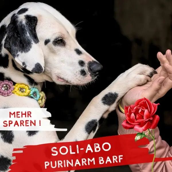 purinarmes-hundefutter-im-abo