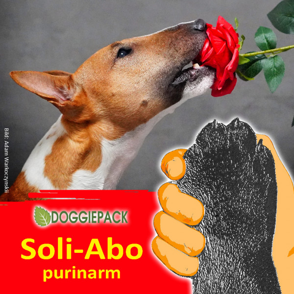 Purinarmes Hundefutter Solidaritäts-Abo