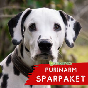 Sparpaket 25 x 400g purinarmes Hundefutter – BARF Menüs