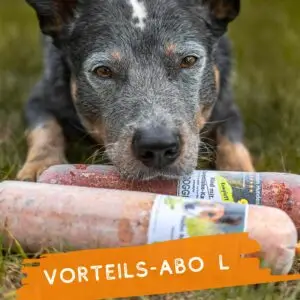 hundefutter-im-vorteils-abo-jetzt-sparen