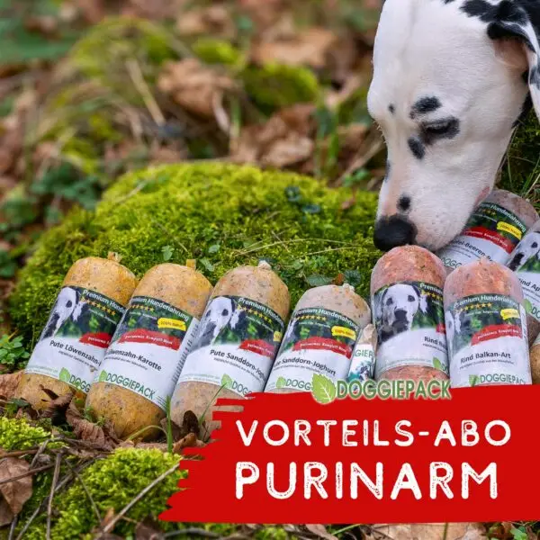 purinarmes-hundefutter-im-vorteils-abo