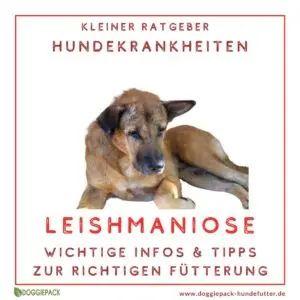 ratgeber-leishmaniose-beim-hund