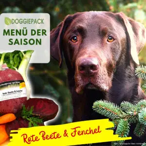 doggiepack_hundefutter_saison_huhn_rote_beete_fenchel_barf