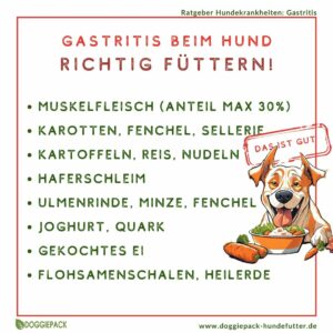 richtig-fuettern-gastritis-beim-hund