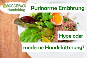 blog_purinarme_ernaehrung_hype_modern_doggiepack