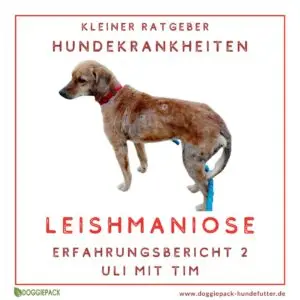 Erfahrungsbericht Leishmaniose
