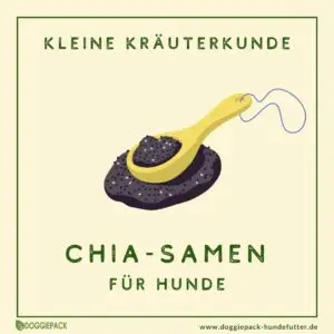 chia-samen-fuer-hunde-kleine-kraeuterkunde