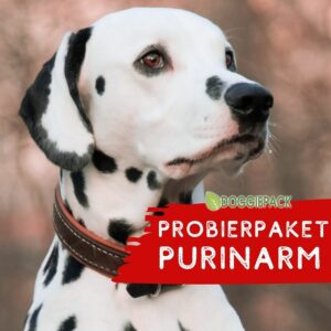 Probierpaket Purinarmes Hundefutter – BARF Menüs & Hundekekse