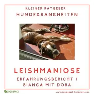 Mein Hund hat Leishmaniose