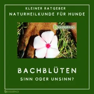 bachblueten-fuer-hunde