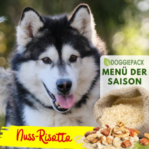 Rind Nuss-Risotto – Komplett BARF Menü