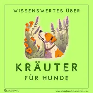 Kräuter für Hunde