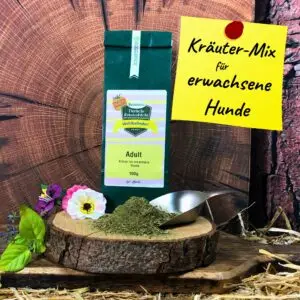 krauter-mix-erwachsene hunde