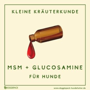was-bewirkt-msm-und-glucosamine-fuer-hunde