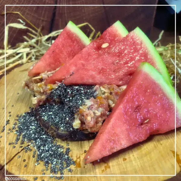 premium-barf-menue-der-saison-melone-chia