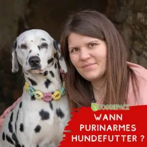 wann-hund-purinarm-fuettern