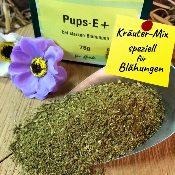 Pups-E+