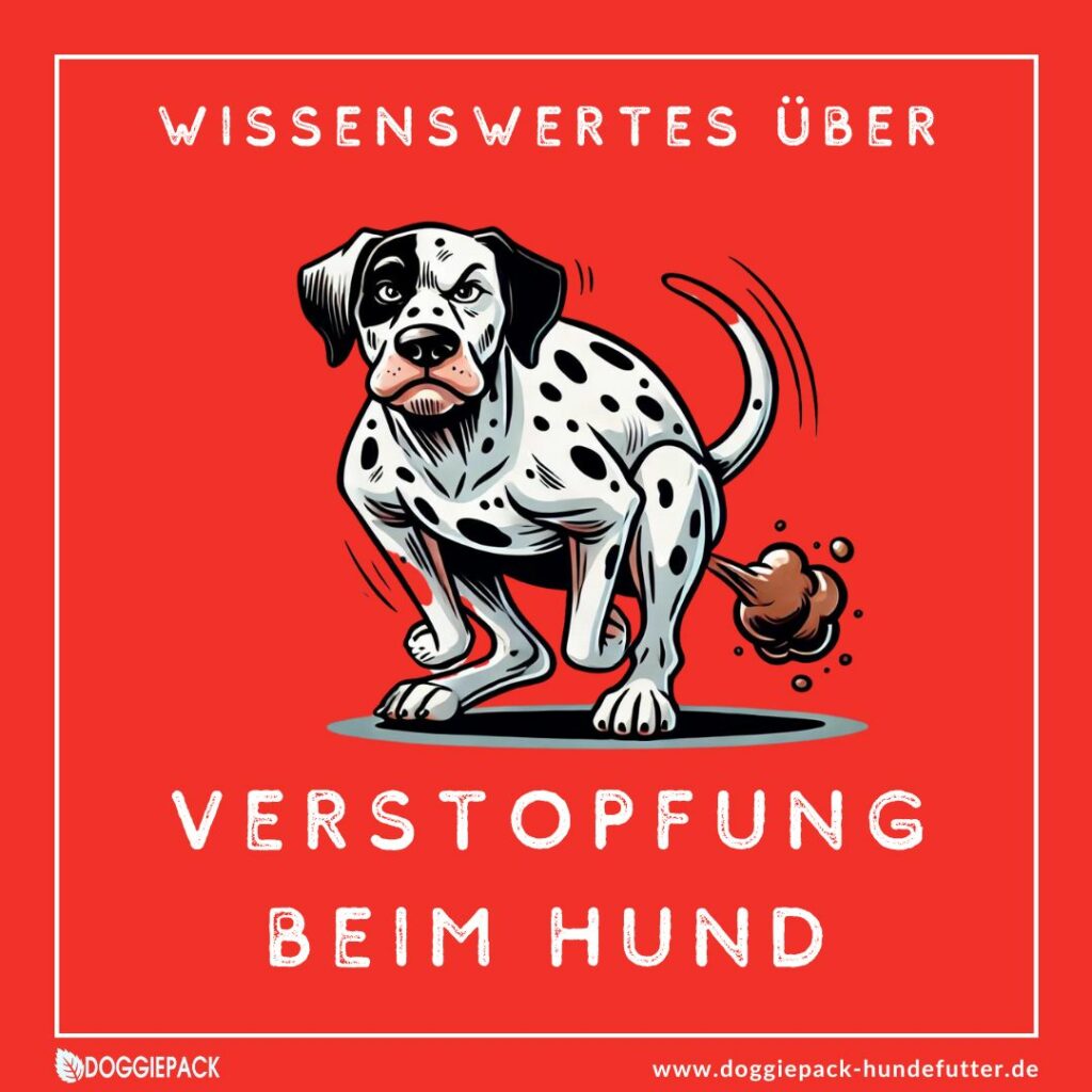 wissenswertes-ueber-verstofung-beim-hund